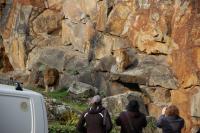 Imagine atasata: Zoo Berlin 0883.JPG